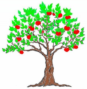 Appletree colour.jpg