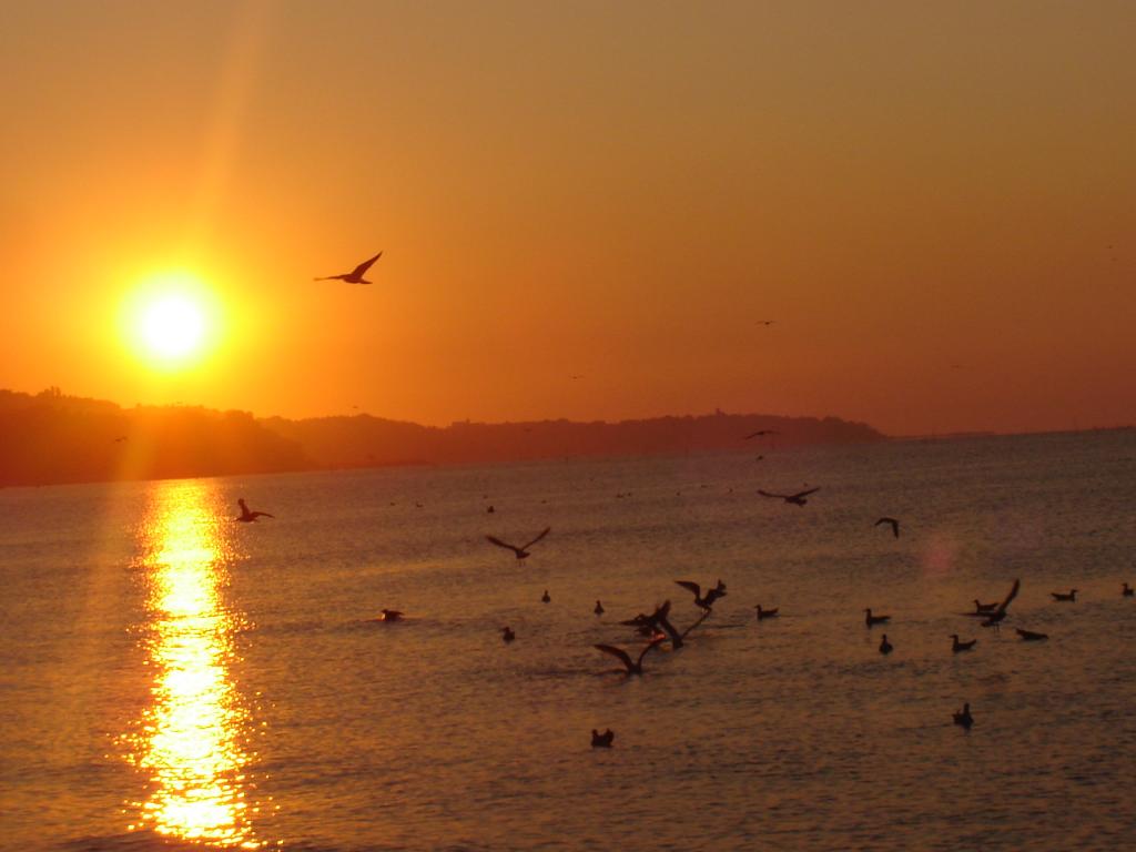 Към слънчевата пътека