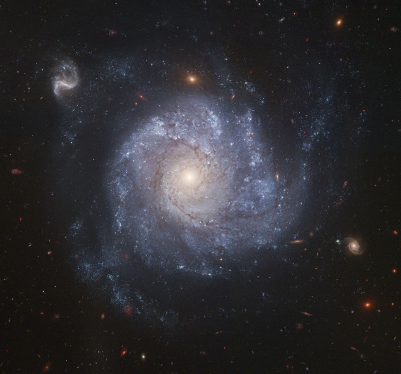 Кръгообразна Галактика NGC 1309