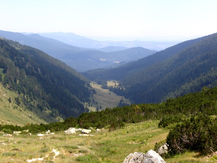 Зелените хълмове на Рила планина