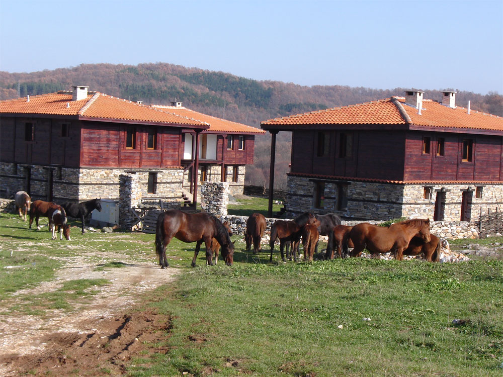 Стадо коне, пасящи на воля край новите къщи, съхранили тради