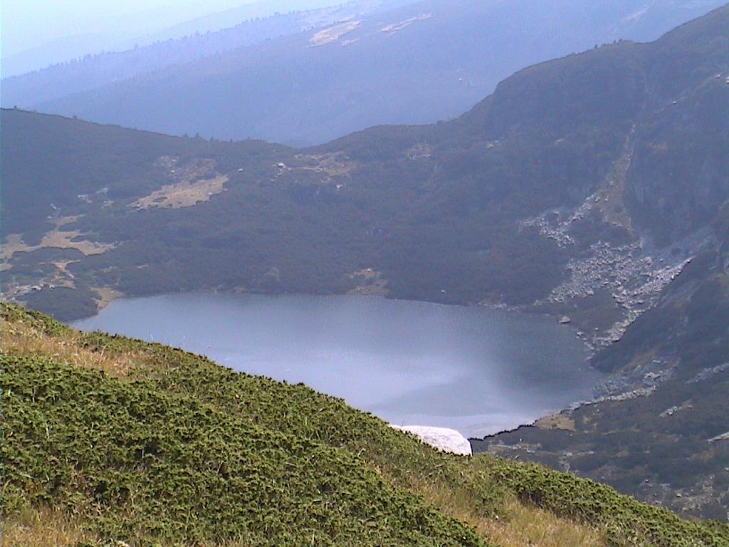 Трилистника