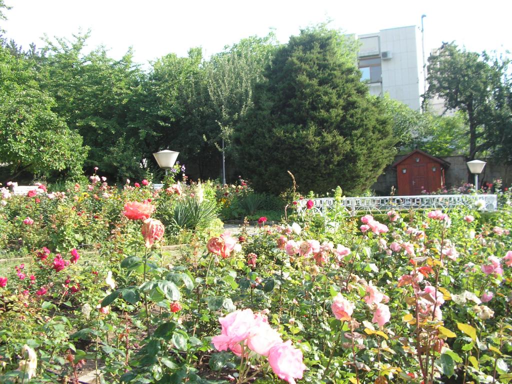 Мястото на Учителя през лятото - Цветната Градина