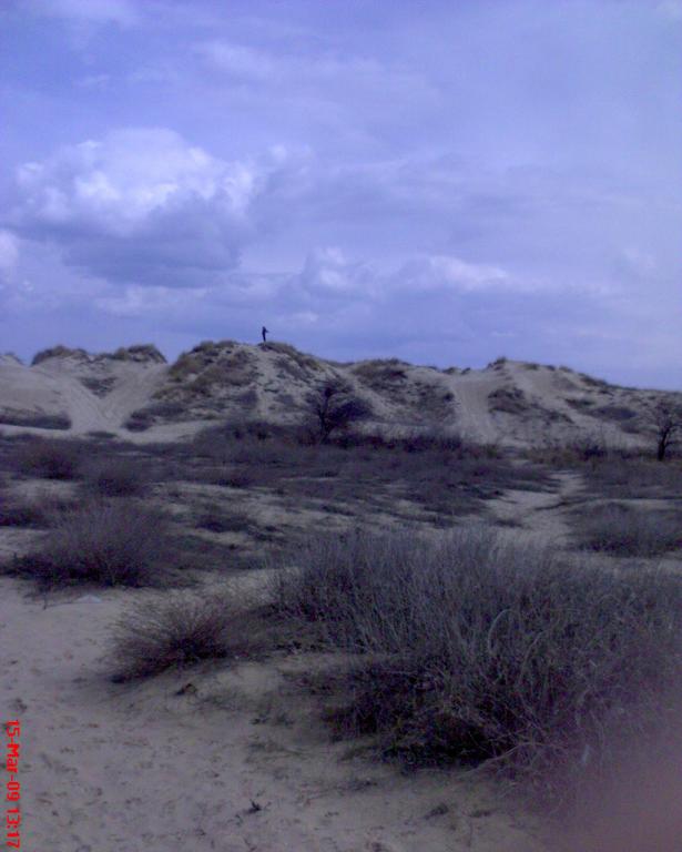 Пясъчните дюни на Слънчев бряг