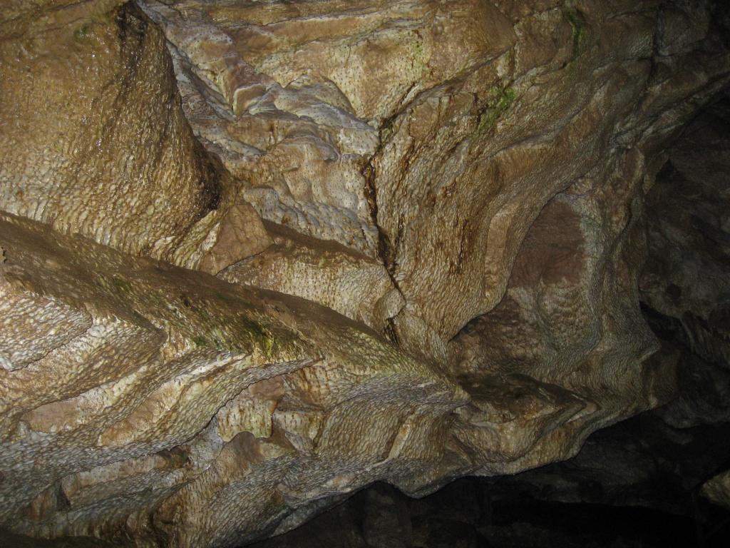 Шарка "Тигрова кожа", Ягодинска пещера