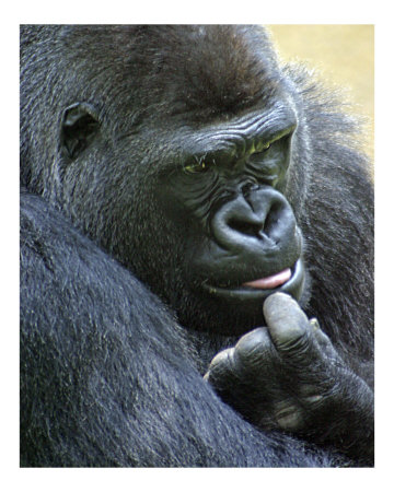 Ще помислим...