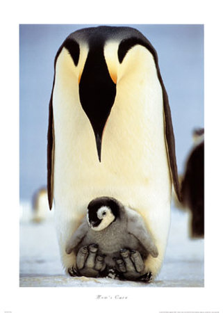 Когато мама ме обича