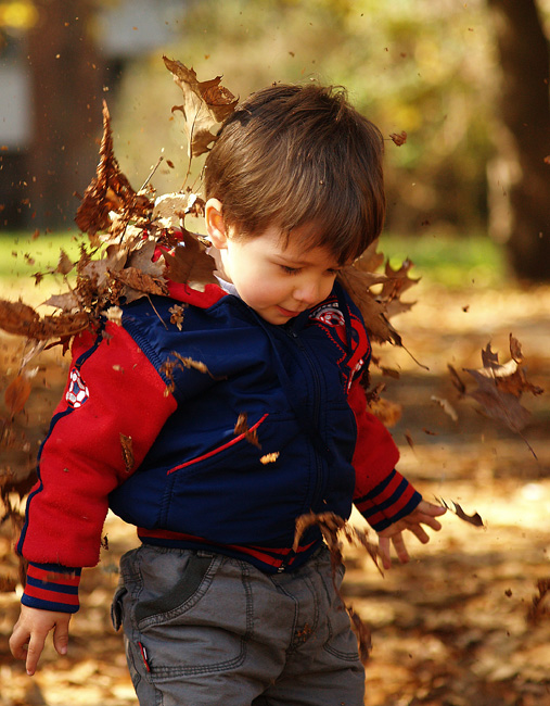 Защо сте по земята...?