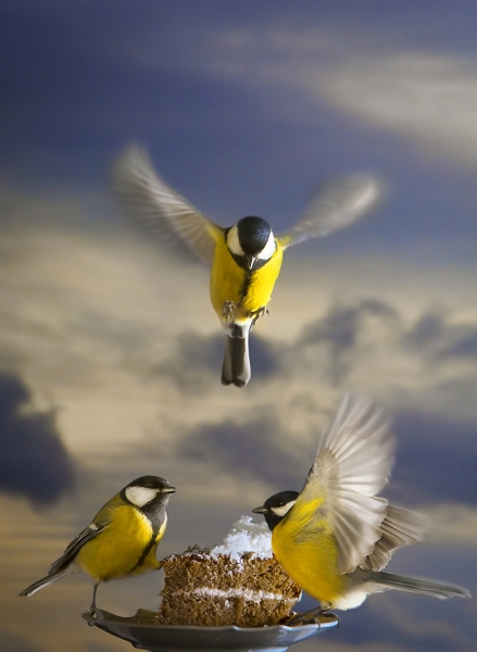 Десертче:)))