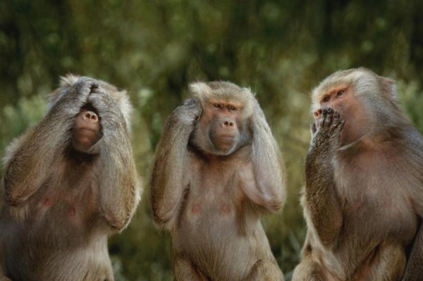 Не видях, не чух, не.......