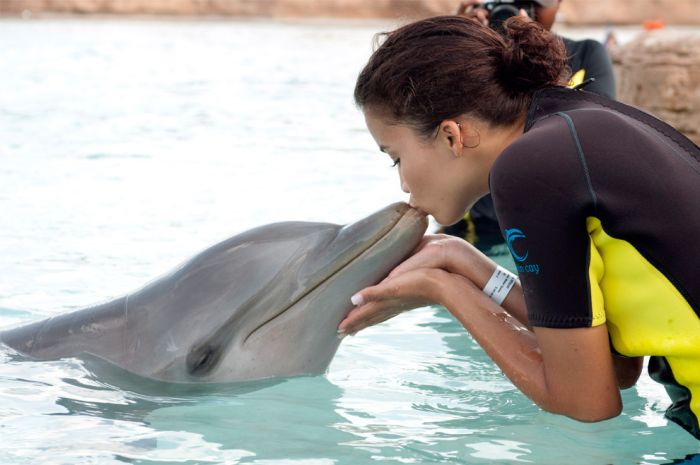 Целувка от делфин