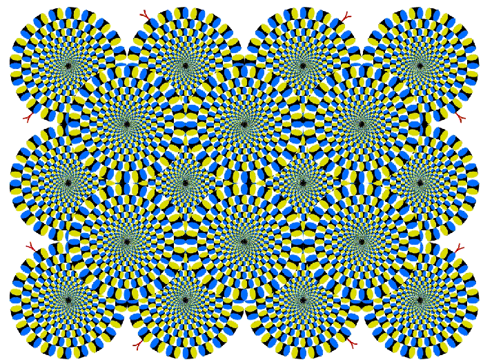 Илюзиите на сетивата