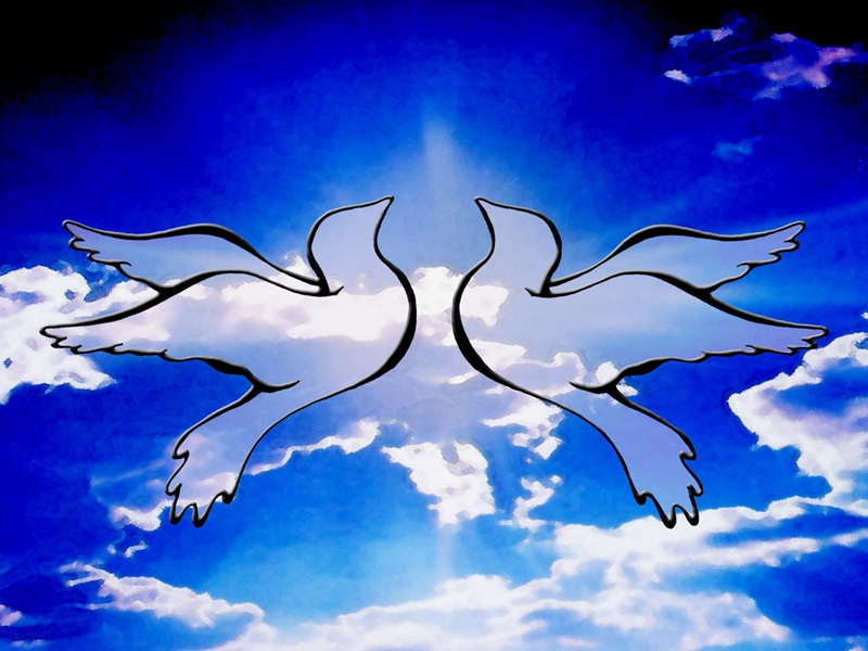 Гълъбът, символ на Мира