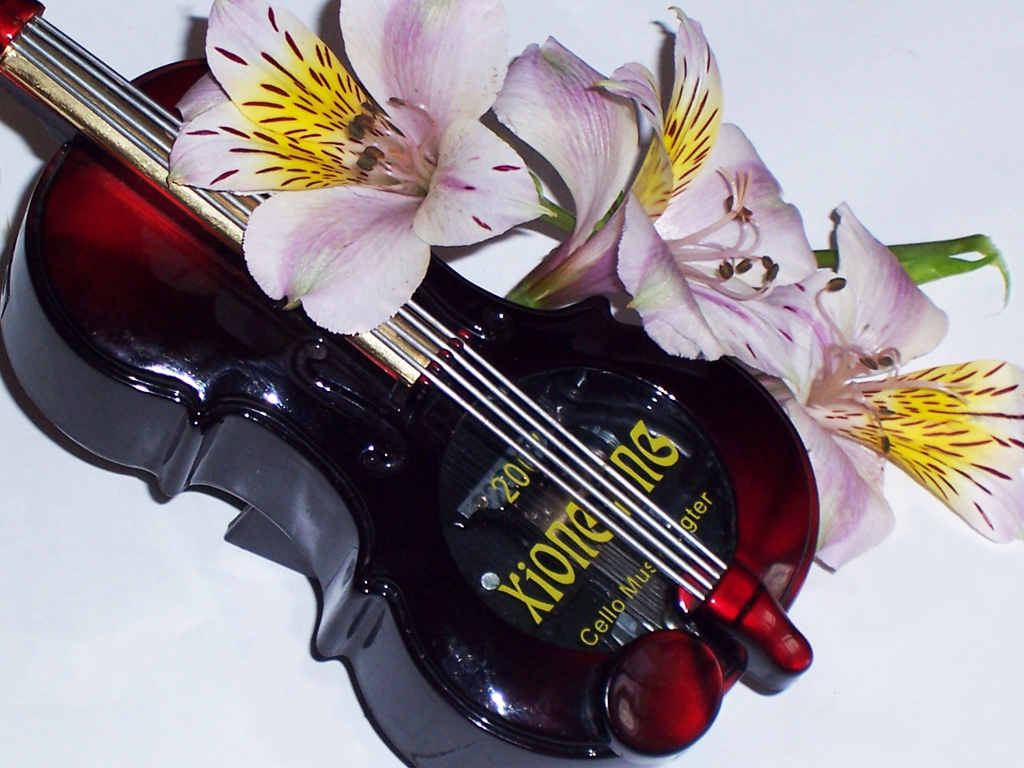 Алстромерия и музика