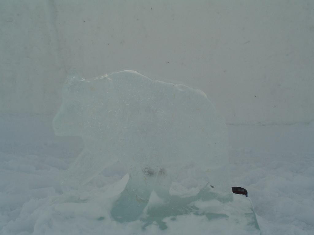 Бяла мечка се е приютила в замъка :)