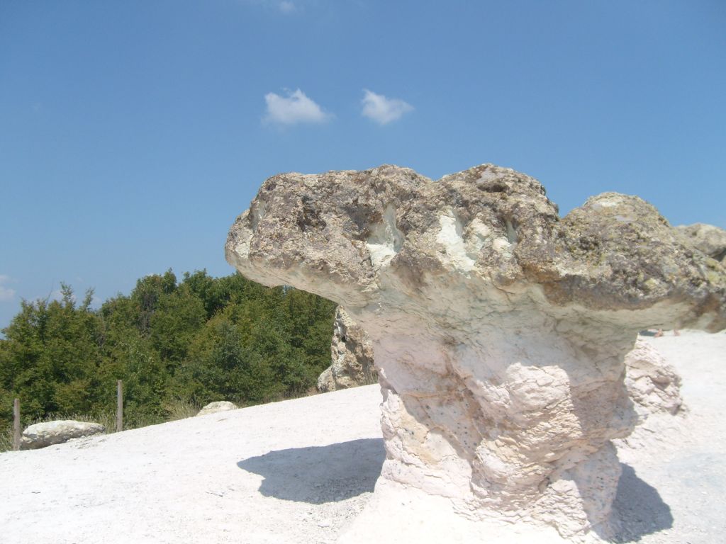 Каменни гъби край с. Бели пласт